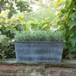 Plant Trough - Aged Zinc -GardenGlamour pr2000033930 card5 lg