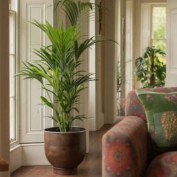 Aluminium Urb Pot - Dark Rust 4 Aluminium Urb Pot - Dark Rust - Image 2