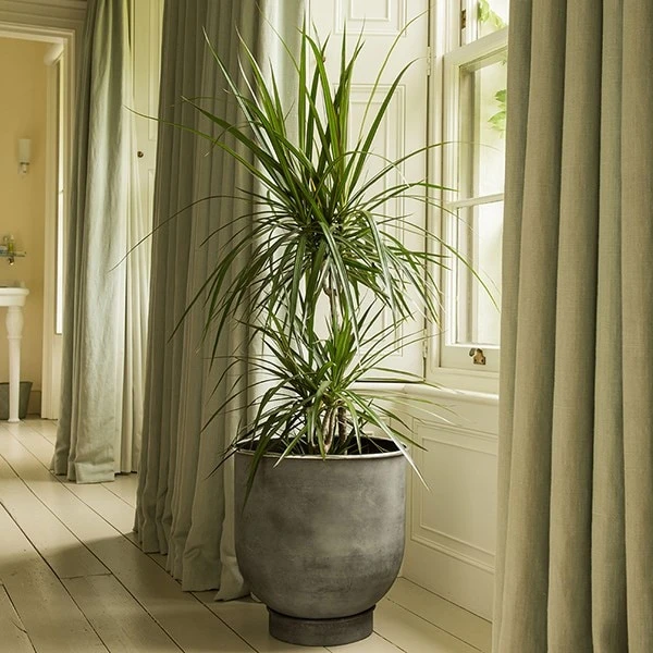 Aluminium Urb Pot - Aged Zinc 4 Aluminium Urb Pot - Aged Zinc - Image 2