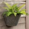 Galvanised Wall Planter -GardenGlamour pr2000033943
