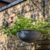 Hanging Bowl - Aged Zinc 2 Hanging Bowl - Aged Zinc -GardenGlamour pr2000033957