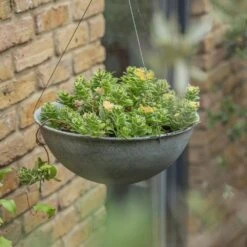 Hanging Bowl - Aged Zinc 13 Hanging Bowl - Aged Zinc -GardenGlamour pr2000033957 card6 lg