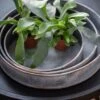Pot Trays Aged Zinc - Set Of 3 -GardenGlamour pr2000033959