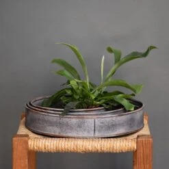 Pot Trays Aged Zinc - Set Of 3 -GardenGlamour pr2000033959 card3 lg