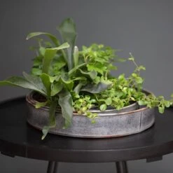 Pot Trays Aged Zinc - Set Of 3 -GardenGlamour pr2000033959 card6 lg