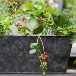 Dark Galvanised Window Trough -GardenGlamour pr2000033966 card5 lg