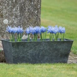 Dark Galvanised Window Trough -GardenGlamour pr2000033966 card6 lg