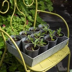 Dark Galvanised Pots - Set Of 6 -GardenGlamour pr2000033979 card4 lg