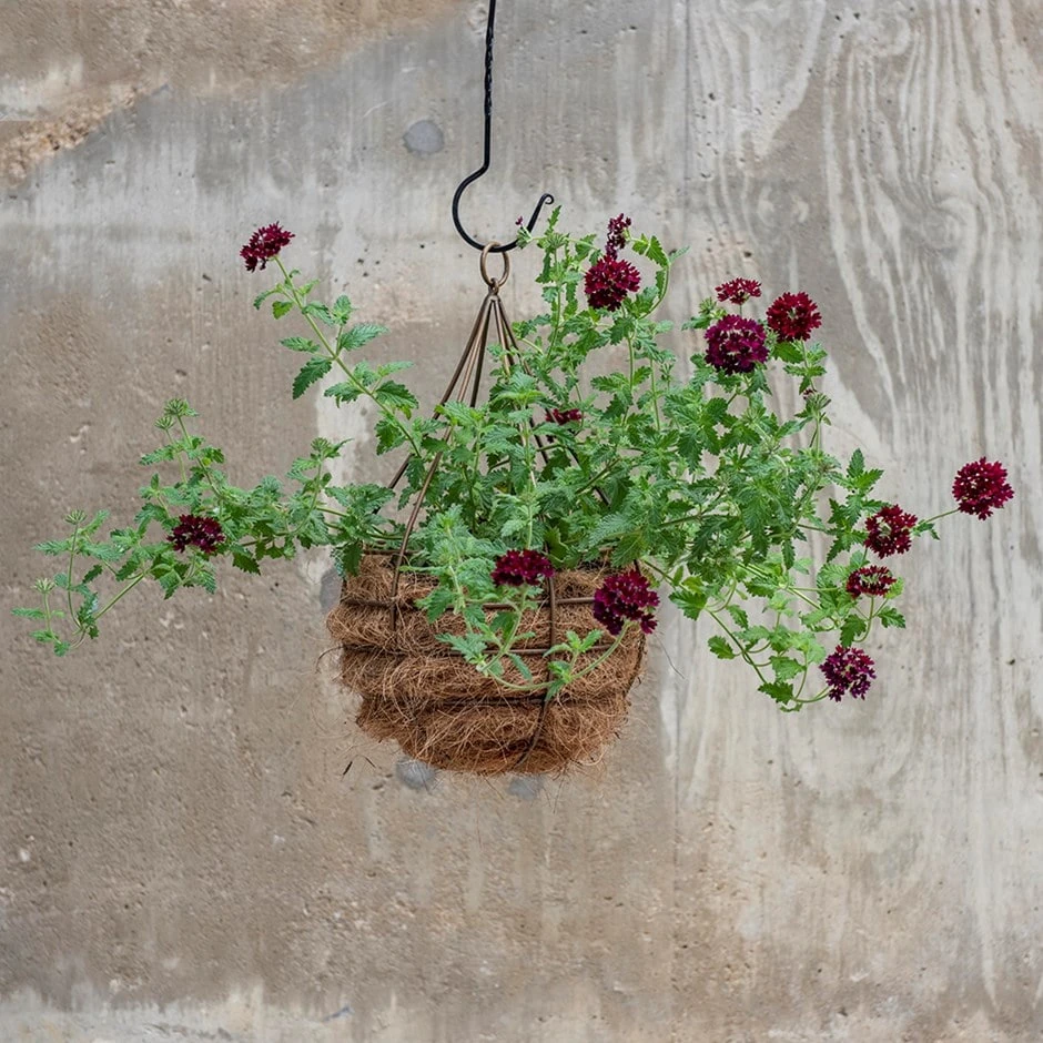 Hanging Tear Drop Basket - Wide 3 Hanging Tear Drop Basket - Wide