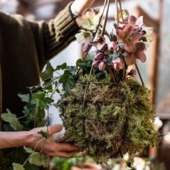 Hanging Tear Drop Basket - Slim -GardenGlamour pr2000033990 card3 lg