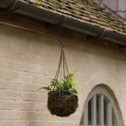 Hanging Tear Drop Basket - Slim -GardenGlamour pr2000033990 card5 lg