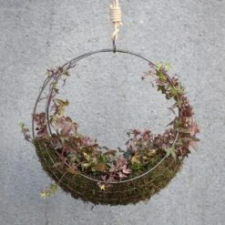 Hanging Wreath Basket -GardenGlamour pr2000033995 card6 lg