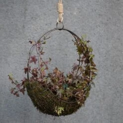 Hanging Wreath Basket -GardenGlamour pr2000033995 card8 lg