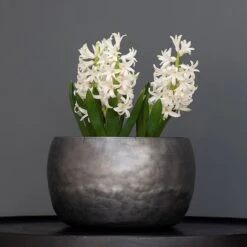 Zinc Bowls - Set Of 3 -GardenGlamour pr2000033999 card3 lg