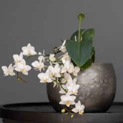 Zinc Bowls - Set Of 3 -GardenGlamour pr2000033999 card4 lg