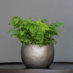 Zinc Bowls - Set Of 3 -GardenGlamour pr2000033999 card5 lg