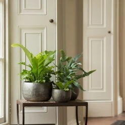 Zinc Bowls - Set Of 3 -GardenGlamour pr2000033999 card6 lg