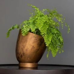 Tilting Pot - Brass -GardenGlamour pr2000034009 card4 lg