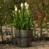 Perennial/bulb Planter With Support -GardenGlamour pr2000034023
