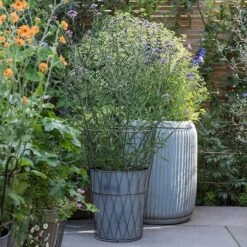 GardenGlamour -GardenGlamour pr2000034026 card2 lg