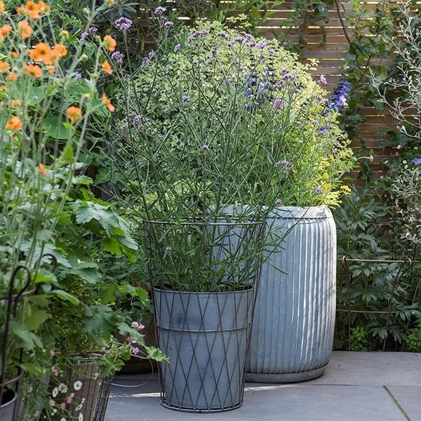 Planter In Lattice Basket Surround 4 Planter In Lattice Basket Surround - Image 2