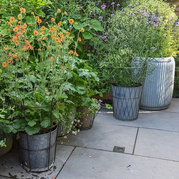 Planter In Lattice Basket Surround 8 Planter In Lattice Basket Surround - Image 6