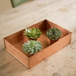 Brushed Copper Seed Tray -GardenGlamour pr2000034042 card4 lg