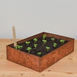Brushed Copper Seed Tray -GardenGlamour pr2000034042 card5 lg