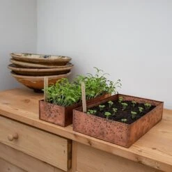 Brushed Copper Seed Tray -GardenGlamour pr2000034042 card7 lg