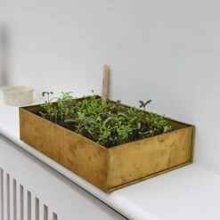 GardenGlamour -GardenGlamour pr2000034043 card2 lg