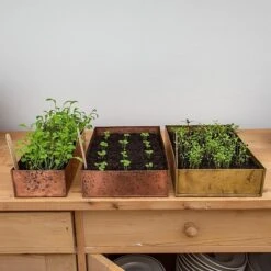 Brushed Brass Seed Tray -GardenGlamour pr2000034043 card7 lg