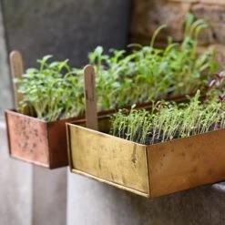 Brushed Brass Seed Tray -GardenGlamour pr2000034043 card8 lg
