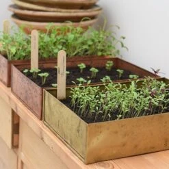 Brushed Brass Seed Tray -GardenGlamour pr2000034043 card9 lg