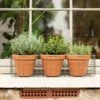 Pot Window Basket 1 Pot Window Basket -GardenGlamour pr2000034049