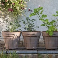 Pot Window Basket -GardenGlamour pr2000034049 card3 lg