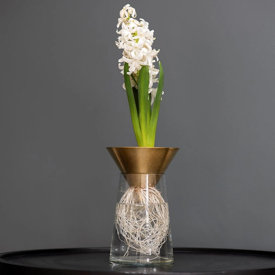 Brass Cone Hyacinth Vase 3 Brass Cone Hyacinth Vase