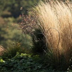 Border Scroll Hook Stake - Large -GardenGlamour pr2000034064 card4 lg