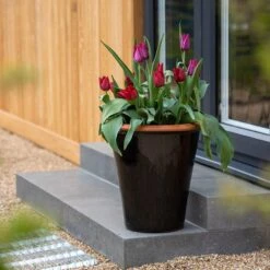 Glazed Terracotta Pot - Black 14 Glazed Terracotta Pot - Black -GardenGlamour pr2000034127 card3 lg