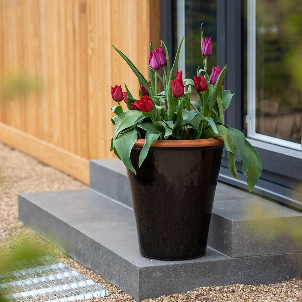 Glazed Terracotta Pot - Black 5 Glazed Terracotta Pot - Black - Image 3