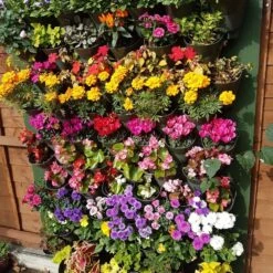 Living Wall Vertical Planting Starter Kit - 0.32m2 14 Living Wall Vertical Planting Starter Kit - 0.32m2 -GardenGlamour pr2000035082 card6 lg