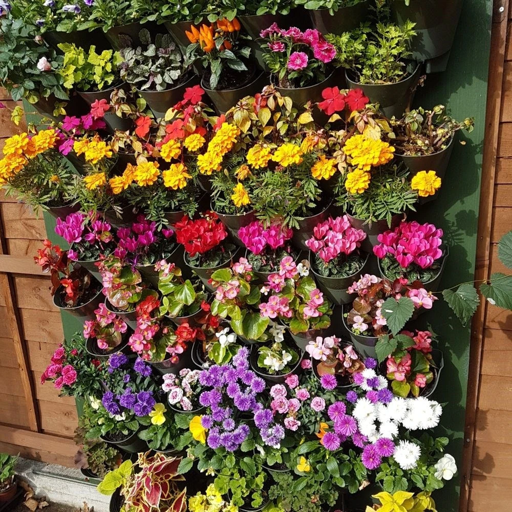 Living Wall Vertical Planting Starter Kit - 0.32m2 8 Living Wall Vertical Planting Starter Kit - 0.32m2 - Image 6