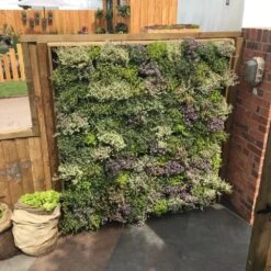 Living Wall Vertical Planting Starter Kit - 0.32m2 15 Living Wall Vertical Planting Starter Kit - 0.32m2 -GardenGlamour pr2000035082 card7 lg