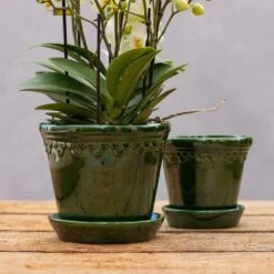 Scalloped Tapered Plant Pot With Saucer - Dark Green -GardenGlamour pr2000035578 card2 lg