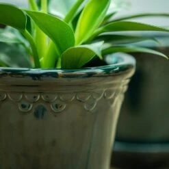 Scalloped Tapered Plant Pot With Saucer - Dark Blue -GardenGlamour pr2000035580 card4 lg