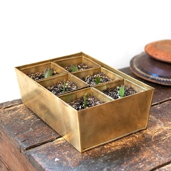 Brass Tray With 6 Brass Grow Pods 4 Brass Tray With 6 Brass Grow Pods - Image 2