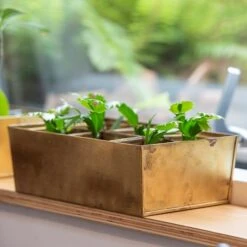 Brass Tray With 6 Brass Grow Pods 13 Brass Tray With 6 Brass Grow Pods -GardenGlamour pr2000037485 card4 lg