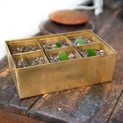 Brass Tray With 6 Brass Grow Pods 16 Brass Tray With 6 Brass Grow Pods -GardenGlamour pr2000037485 card7 lg