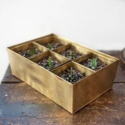 Brass Tray With 6 Brass Grow Pods 17 Brass Tray With 6 Brass Grow Pods -GardenGlamour pr2000037485 card9 lg
