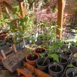 Galvanised Tray With 12 Grow Pods -GardenGlamour pr2000037486 card6 lg