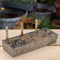 Galvanised Tray With 12 Grow Pods -GardenGlamour pr2000037486 card7 lg